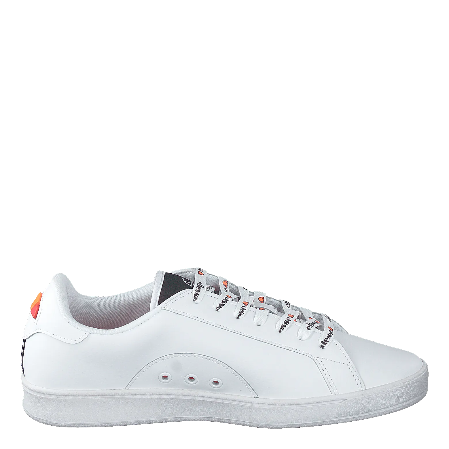 Campo White